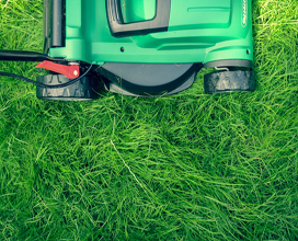 small green mower on the grass