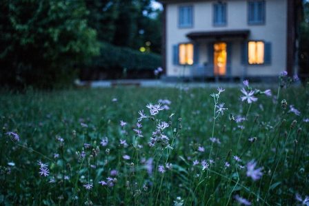 jardin avec petites fleurs blanches et au fond maison avec lumières allumées